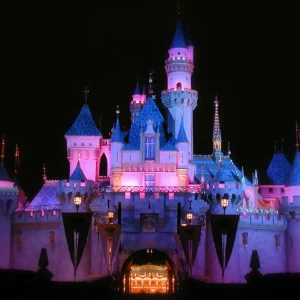 Disney Palace